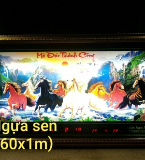 Ngựa sen