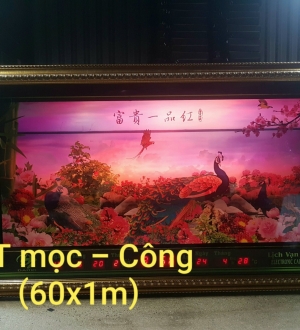 MT mọc - Công