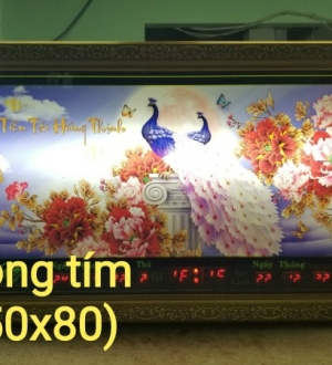 Lịch vạn niên led 020