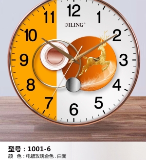 1001-6
