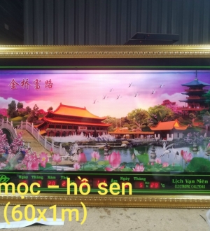 MT mọc - hồ sen